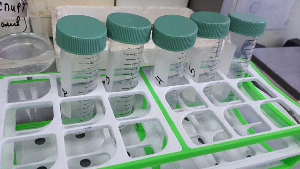  Фото: пресс-служба правительства области