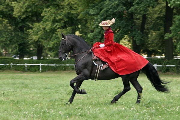 Источник: uahorses.com 