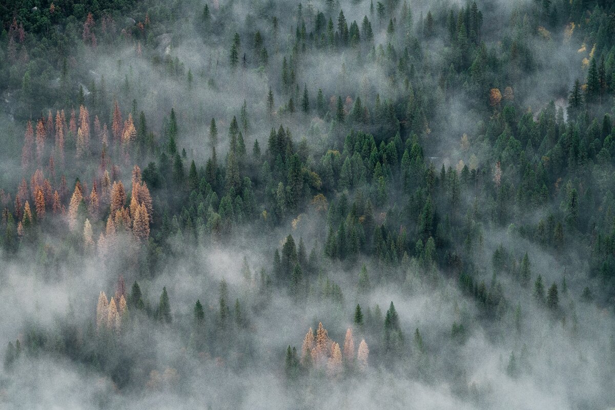 Foto by https://unsplash.com/@heytowner