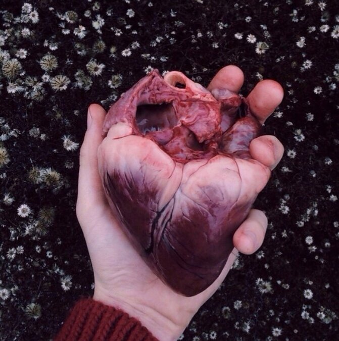 Самодисциплина золотой нитью пронизывает жизнь человека, делая ее значимой и удачной во всех отношениях. 