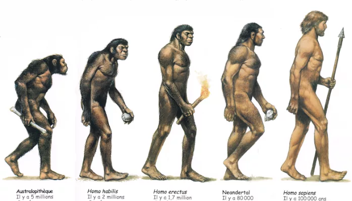 Названия людей раньше. Эволюция человека хомо сапиенс. Хомо сапиенс и хомо хабилис. Хомо хабилис австралопитек. Эволюция до хомо сапиенс.