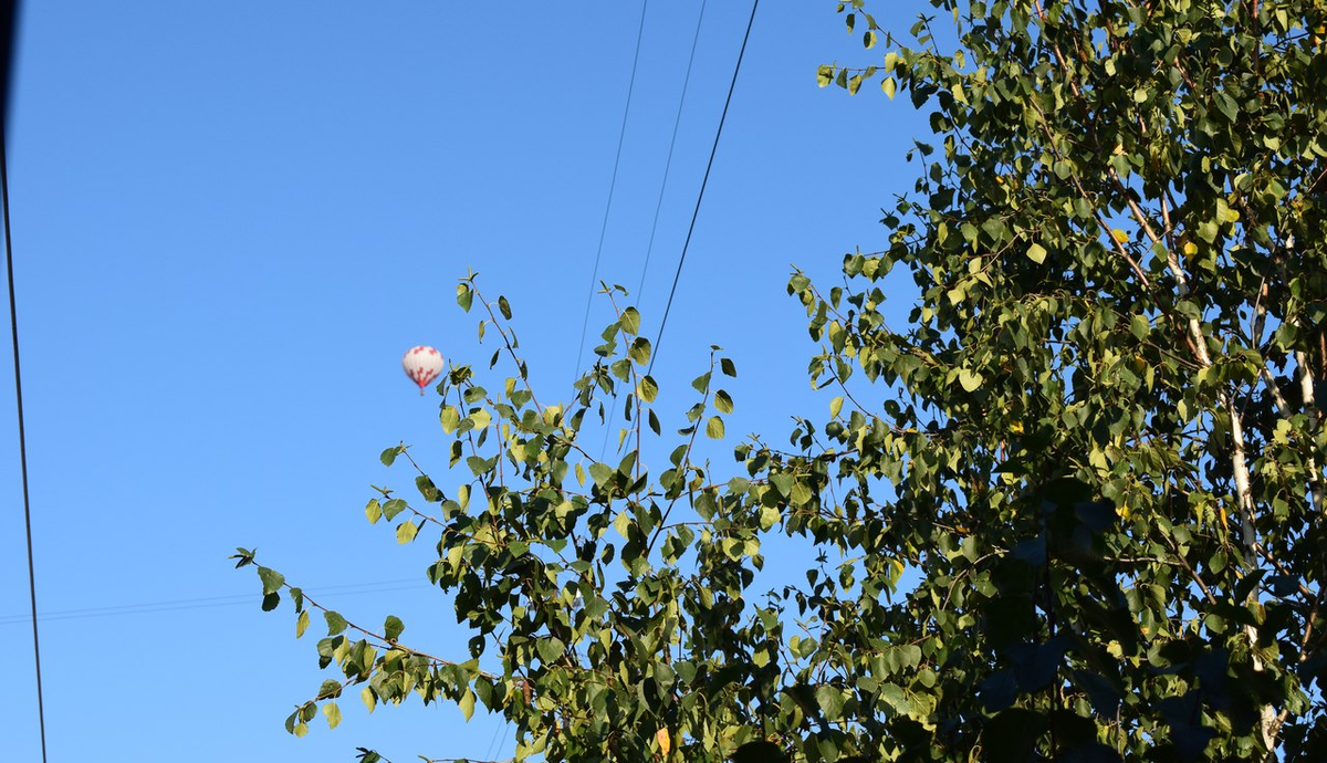 Однажды в выходной проснулась - а в окне воздушный шарик!!! Жизнь прекрасна!!!