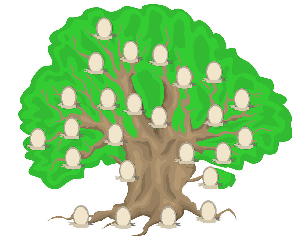 Картинка взята из https://avatars.mds.yandex.net/get-pdb/777813/e3eaca9e-6e81-4986-bd95-f0df5de7c4a9/s1200?webp=false.