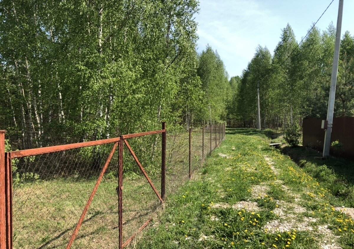 Фото взято из открытых источников