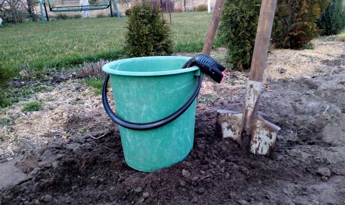 В огороде. Фото автора 