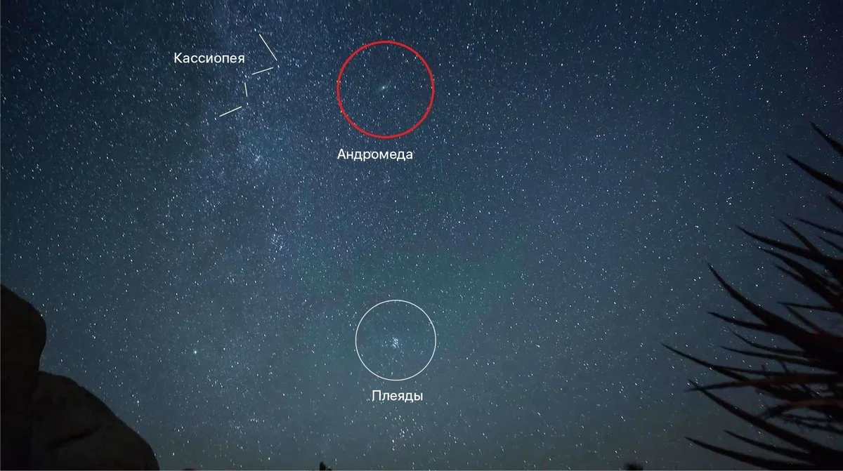 Галактика Андромеды на звёздном небе
