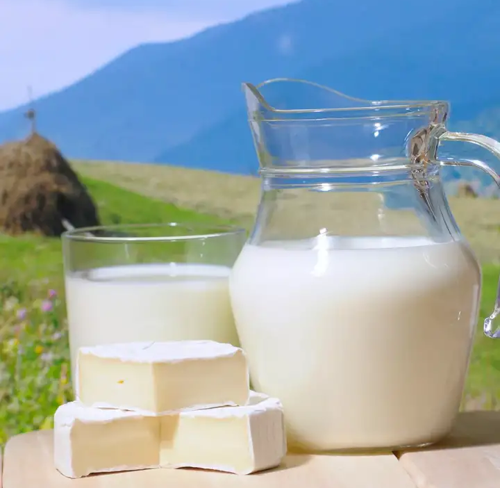 Алтайский врач рассказал, почему грудничкам нельзя давать коровье молоко