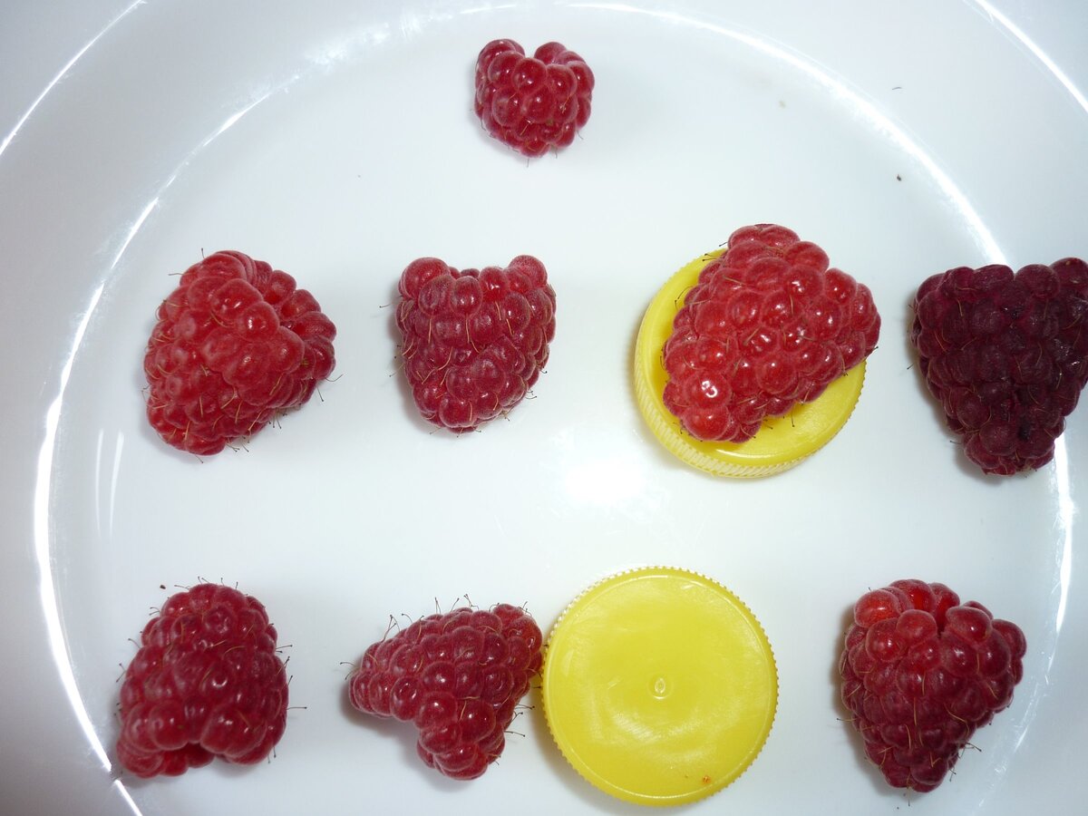 Эту "икебану" соорудили дети из нашей малины. Сверху - обычная малинка.