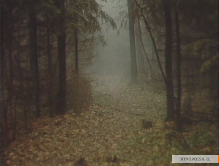 Кадр взят с сайта Кинопоиск