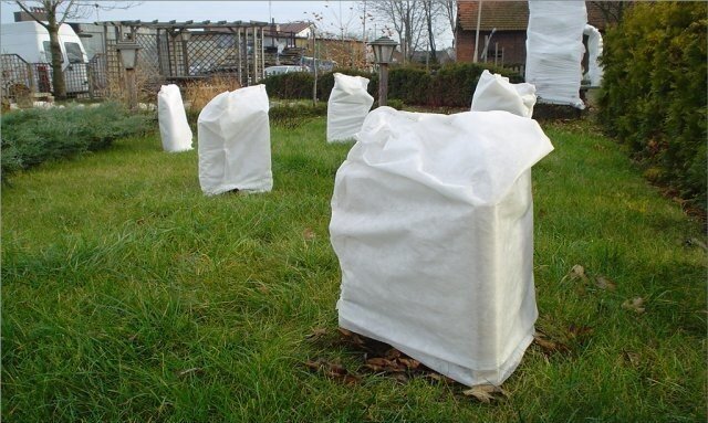 Источник фото: ooomegaplast.ru. 