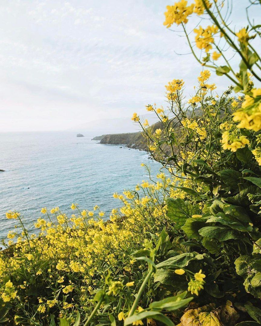 Май 2020-идеальный месяц для Весов 