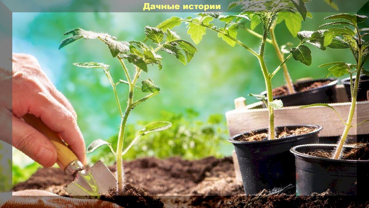 https://vk.com/photo-159774511_457243784