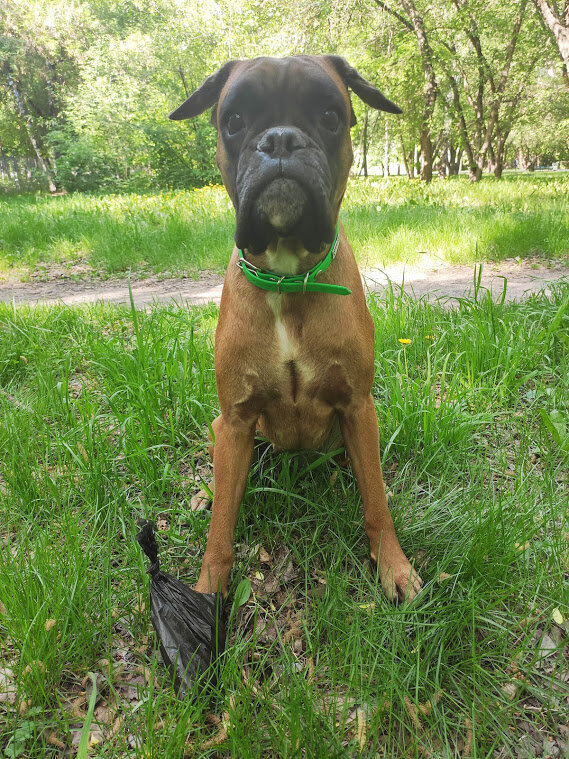 Личный архив