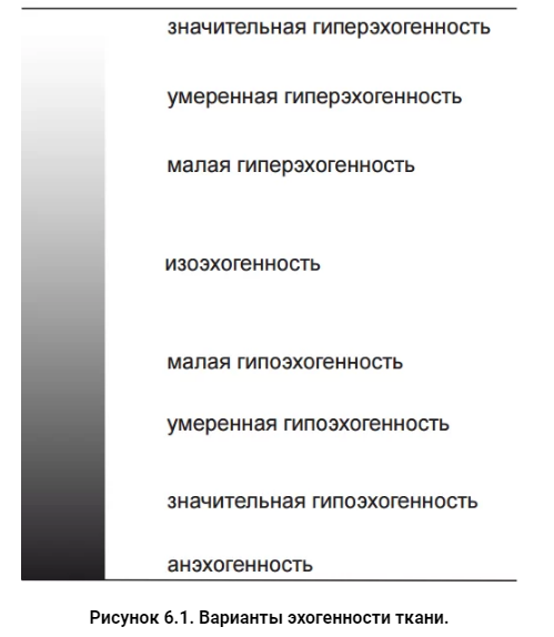 Рисунок из руководства доктора А.В. Ушакова "Клиническая УЗД доброкачественной патологии щитовидной железы", 2018. Напротив каждого вида эхогенности показана величина серого. 