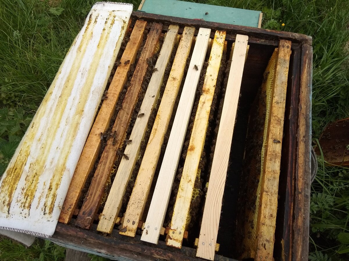 Заставная доска в улье своими руками