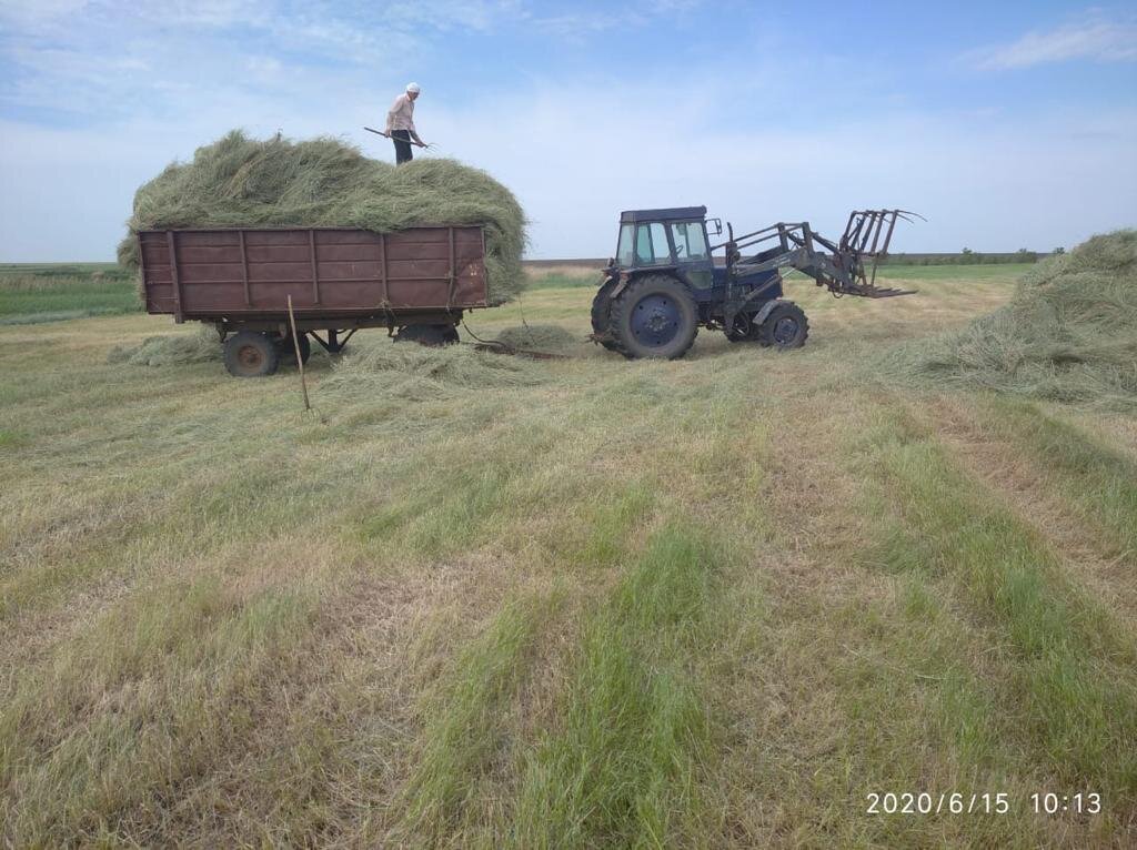 Заготовка