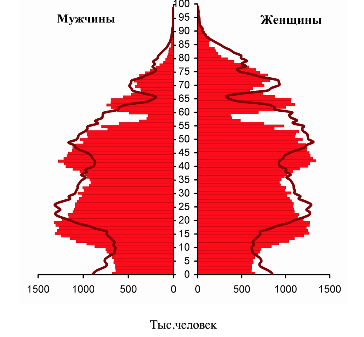 Возрастно-половая статистика переписи населения