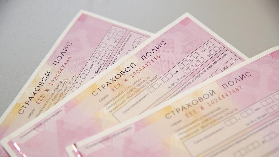 Фото: ИЗВЕСТИЯ/Зураб Джавахадзе