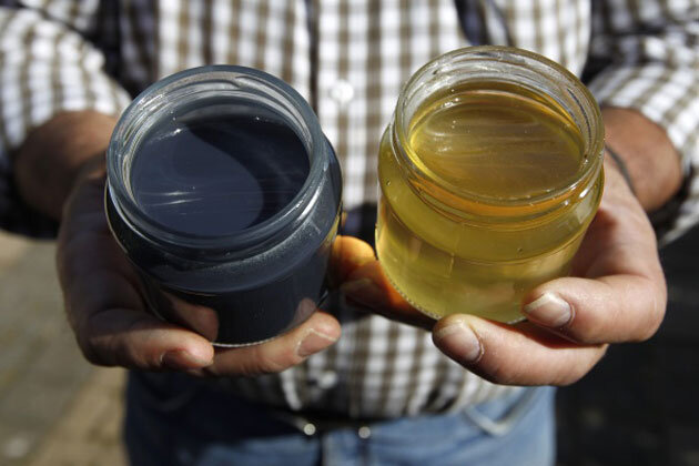 После разговора с недовольными пчеловодами сотрудники компании перестали выставлять мусорные контейнеры на улицу. А пчеловодам пришлось уничтожить разноцветный урожай, так как съесть его никто не рискнул.