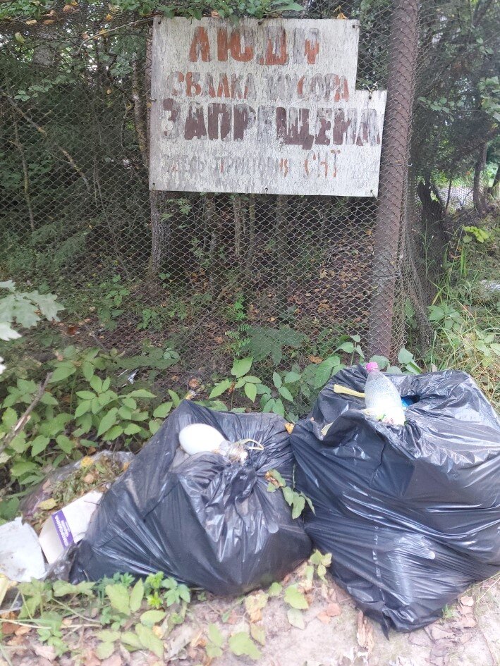 в моей деревне 100 км от Москвы