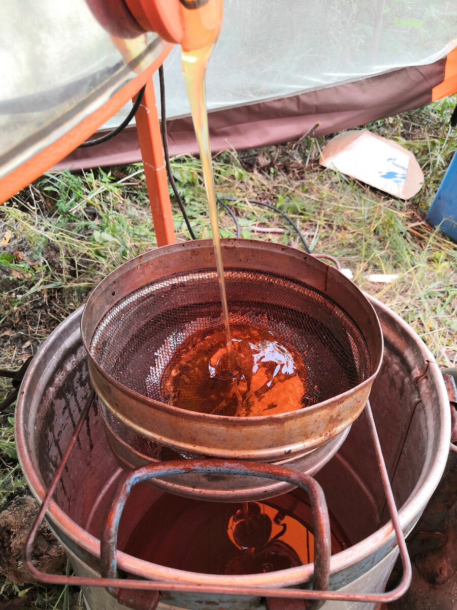 Свежий мёд 