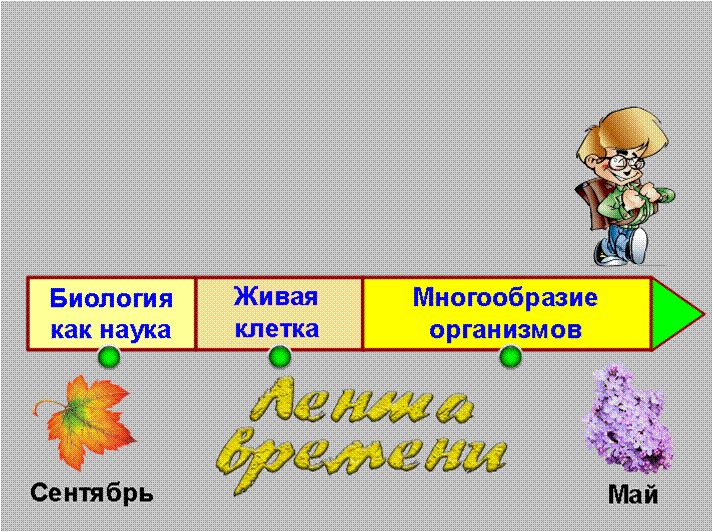 Методические разработки