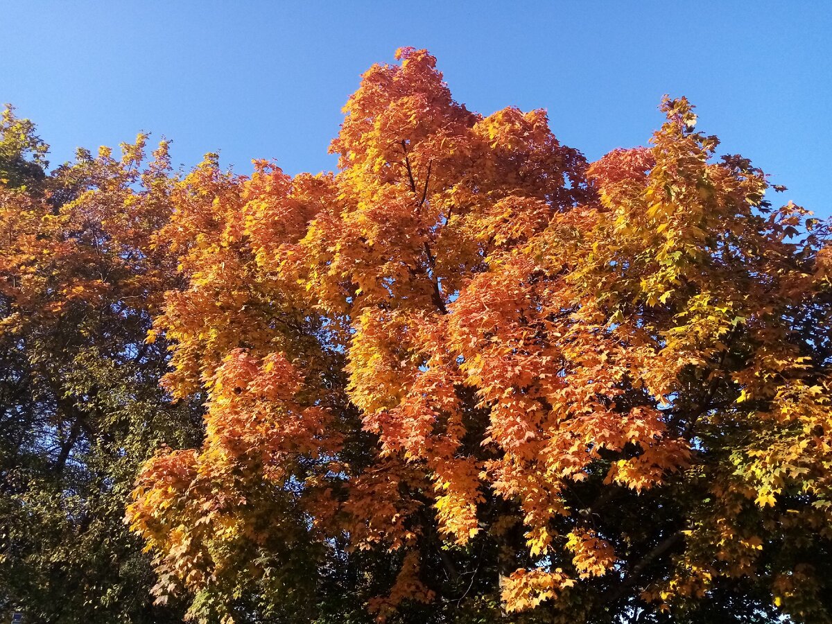 Какая кругом красота.