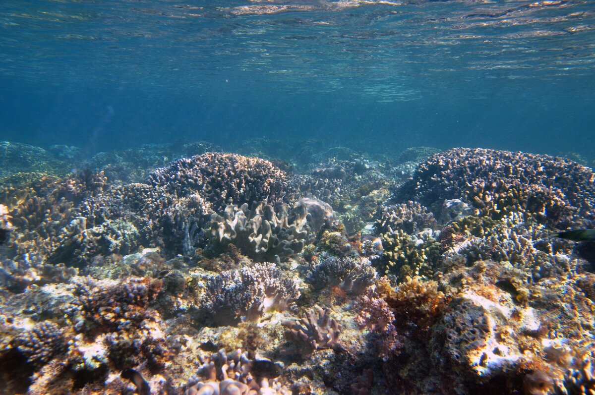 наше фото с архива