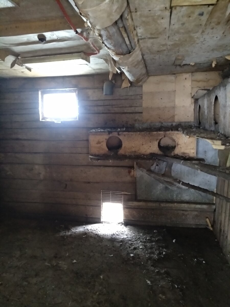 Так выглядела одна из комнат в хлеву. Раньше здесь держали кур и кроликов. Клетки для кроликов уже вынесли. 