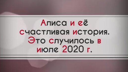 Съездили в отпуск: счастливая история маленькой собачки