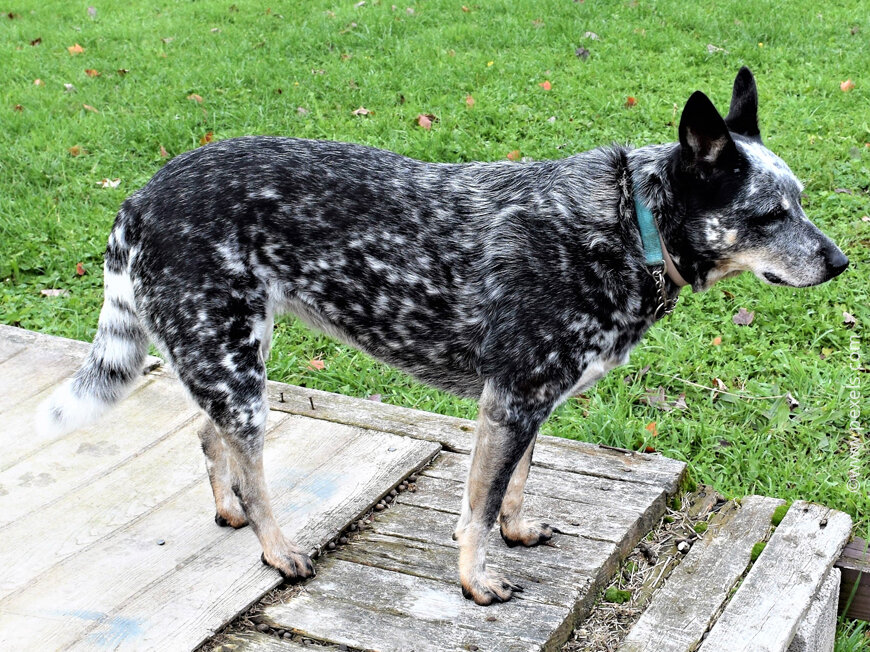 Фото взято из интернета