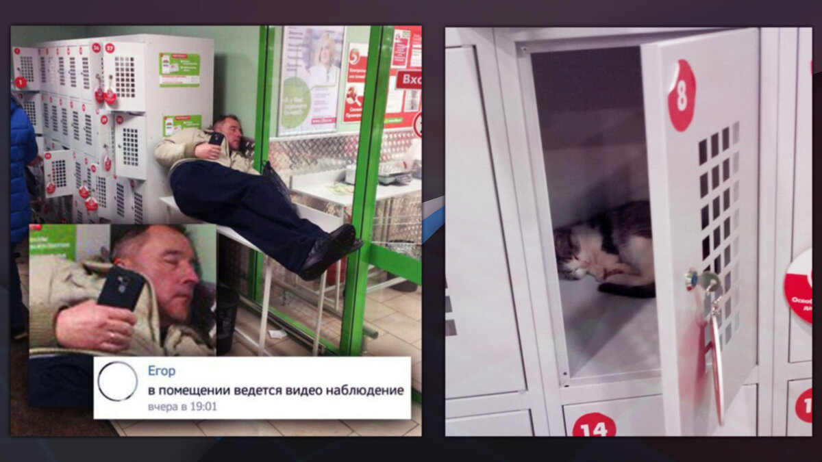 Фото из социальных сетей.