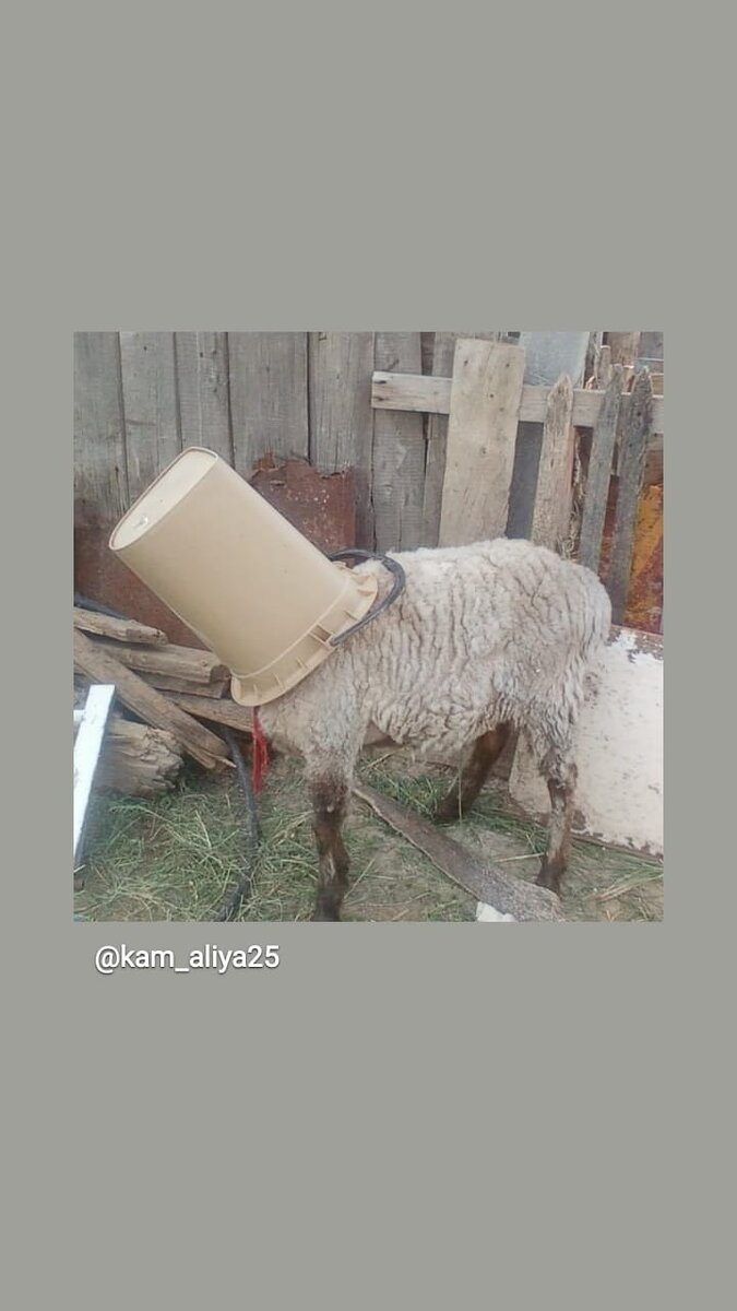 Маска хороша. А для глаз не предусмотрено 😋