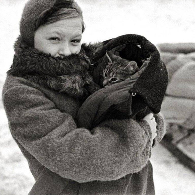 В блокадные дни Ленинграда жители страдали не только от холода, бомбёжек и голода, но и множества крыс. Они толпами бродили по городу, поедая скудные припасы продуктов питания.-2