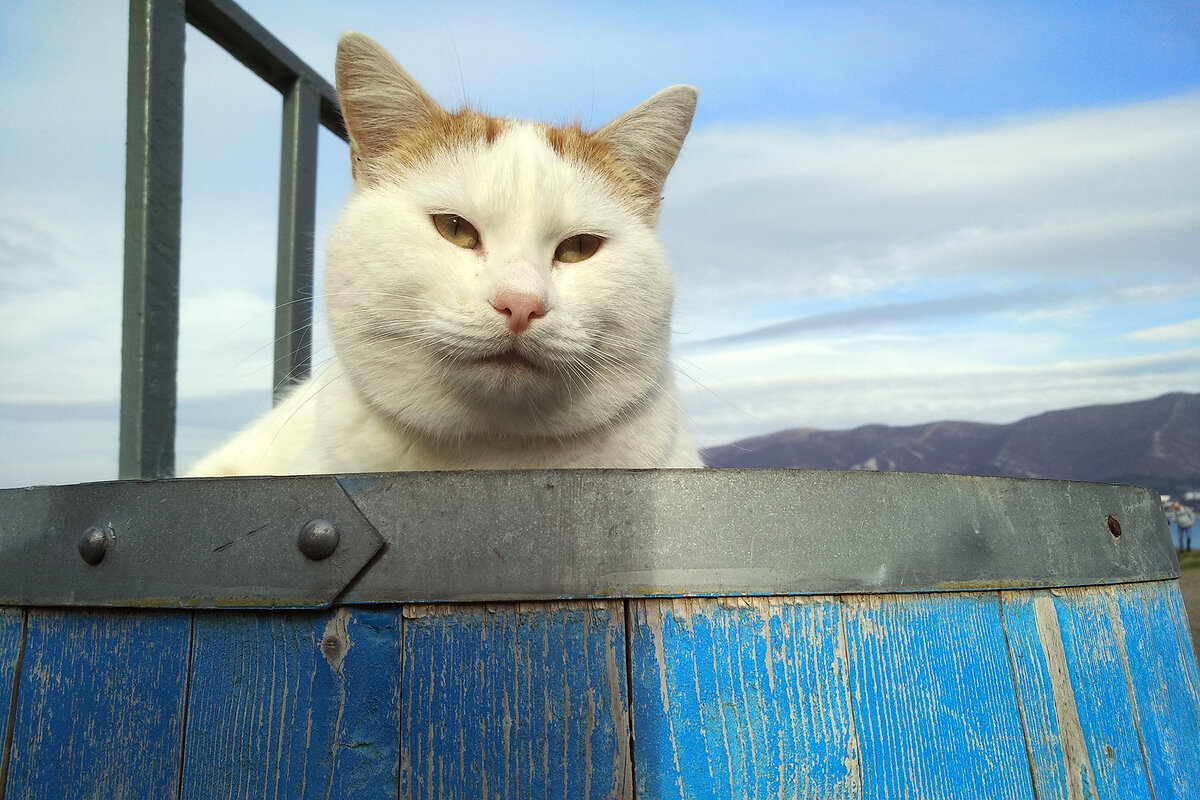 Кузьма на своей бочке