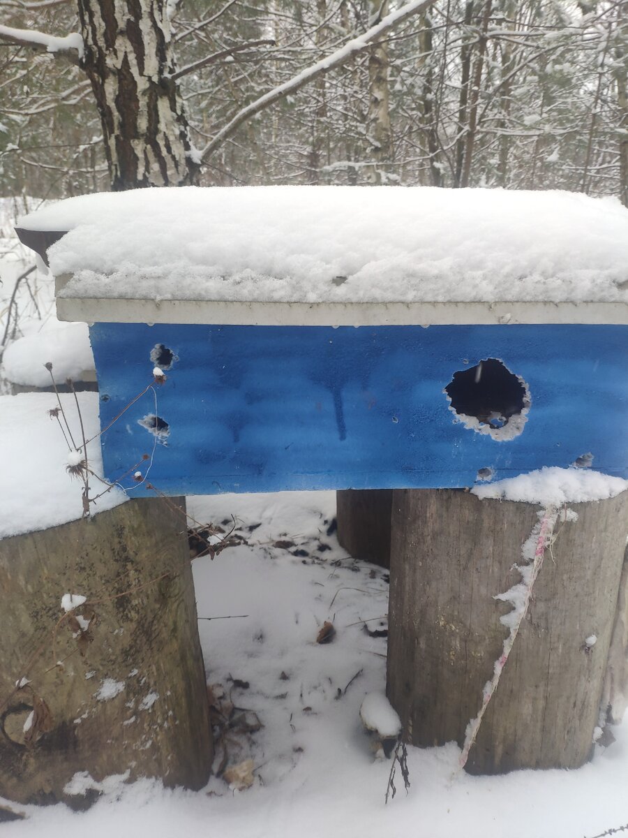 Мышиный труд