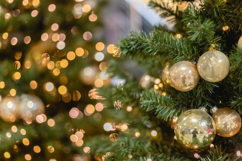 Фото: Shutterstock