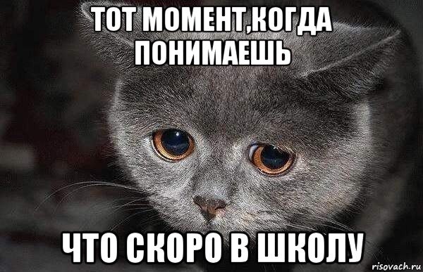 Фото:интернет