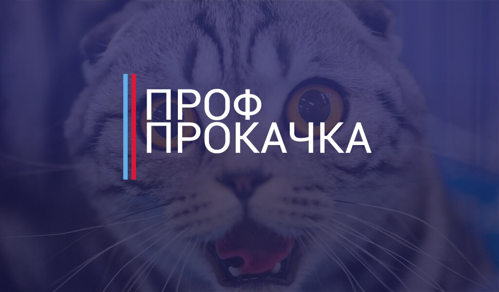 Автор: Гериева Любовь