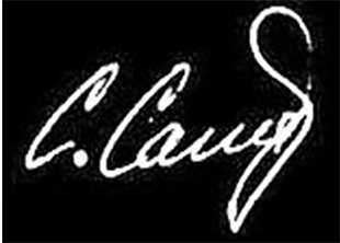 Рис.2. Пример высокого уровня интеллекта.