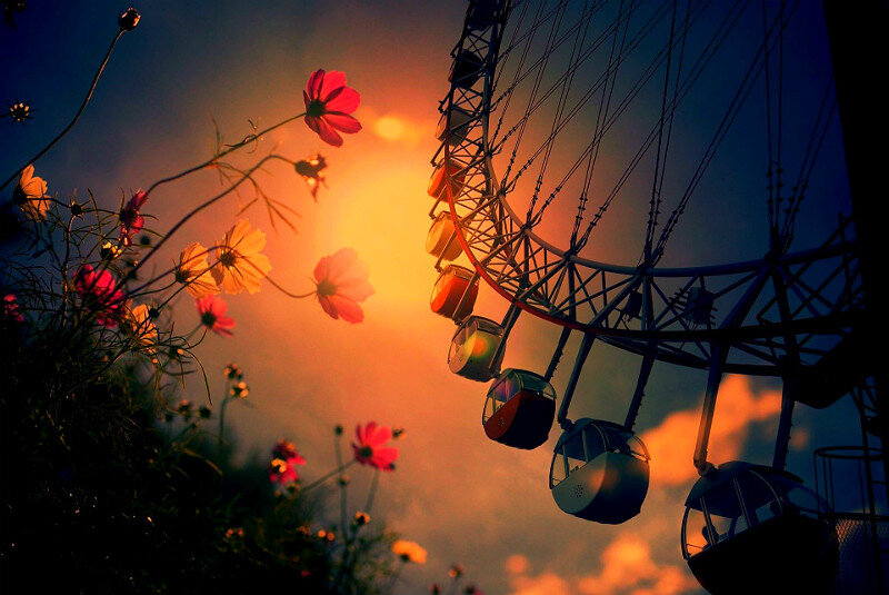 Ежегодно мы проживаем большой Цикл, в котором сконцентрированы Порядки и Законы жизни