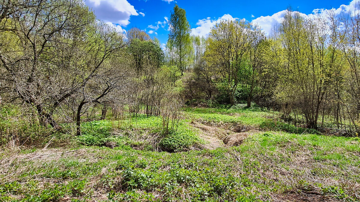 Долина реки Язвенка в Орехово. Снято на смартфон.