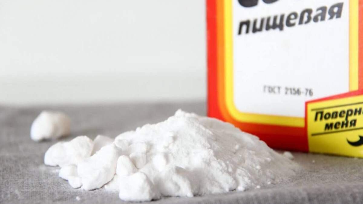 Фото взято из открытого источника