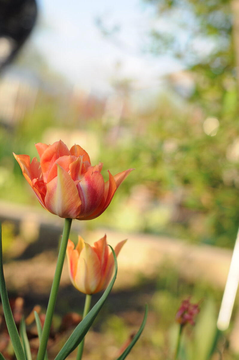 Личное фото