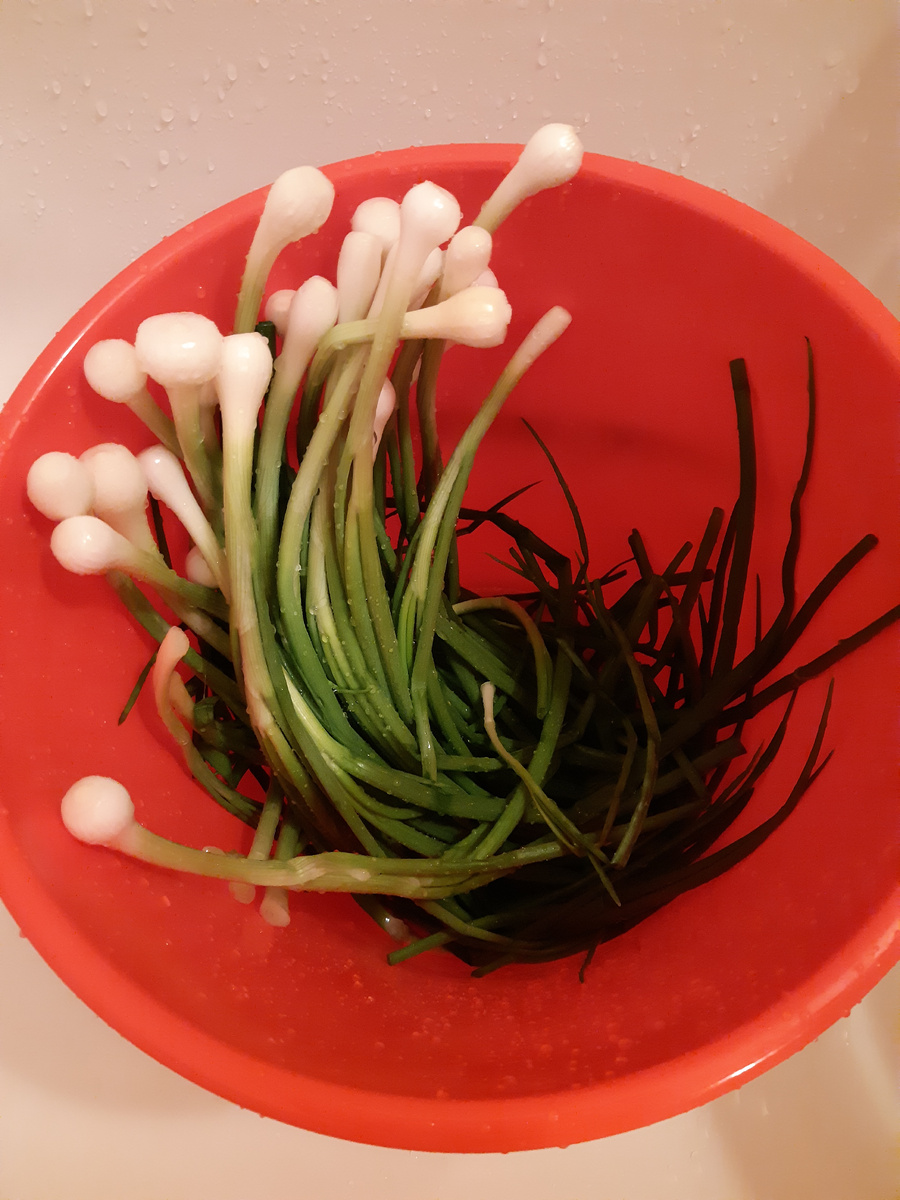 Подарки с дачи