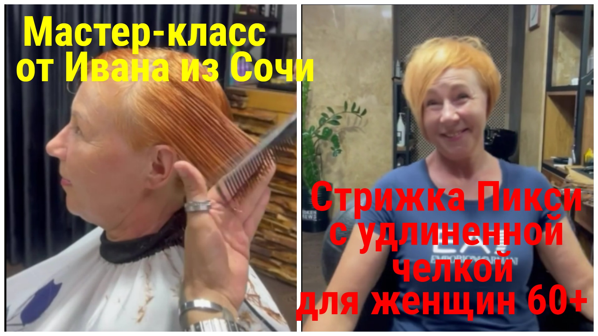 Груминг Центр Романа Фомина's Videos