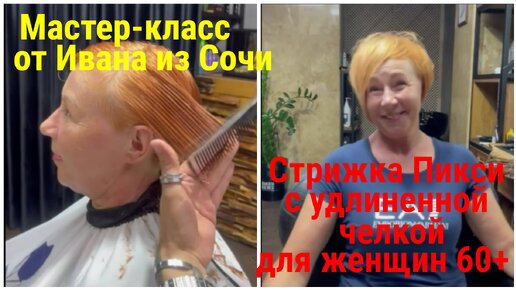 Курсы стрижки собак