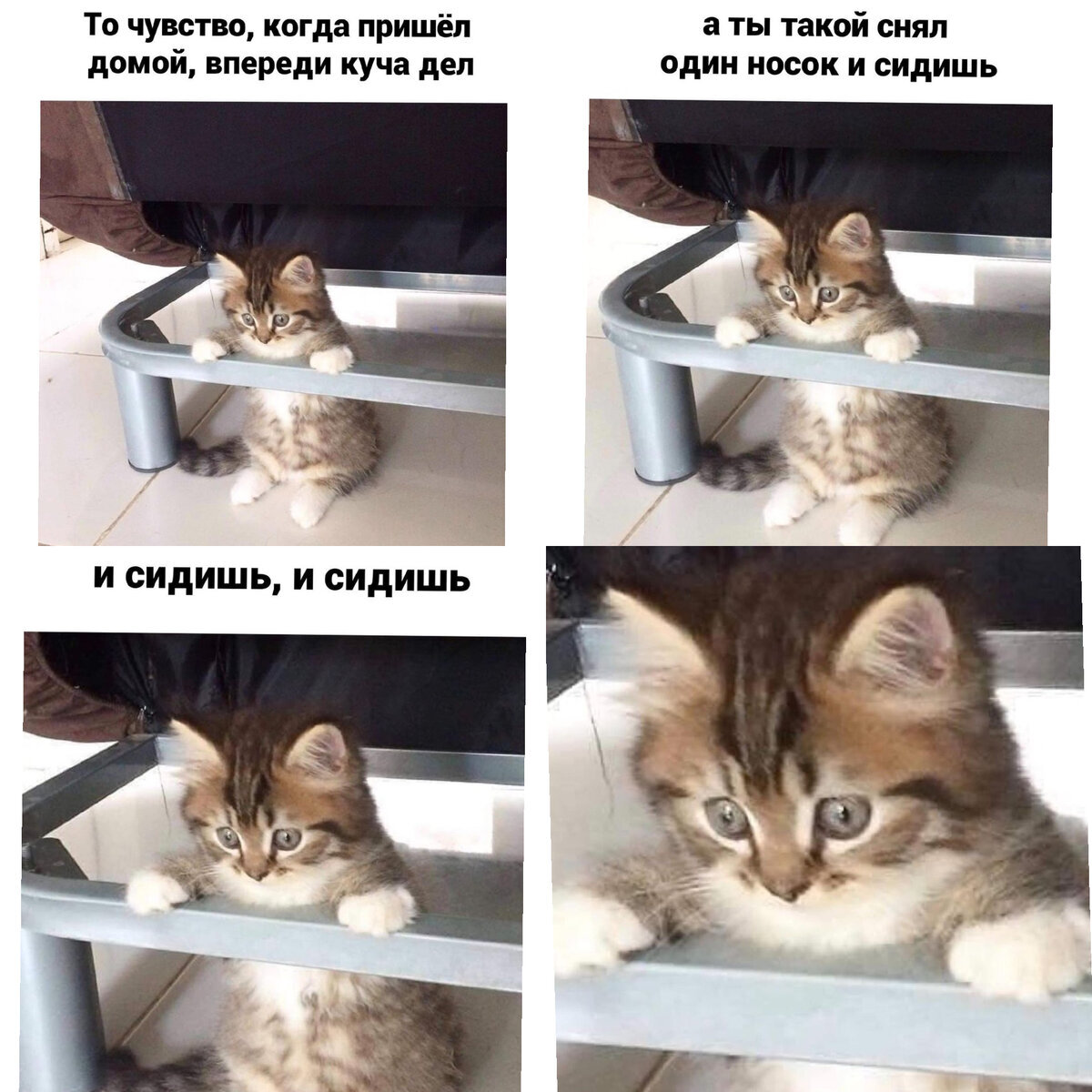 Всем знакомо