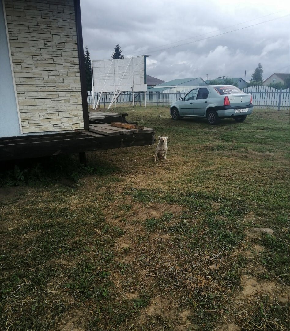 Валет прибился на базу и никуда не хотел уходить