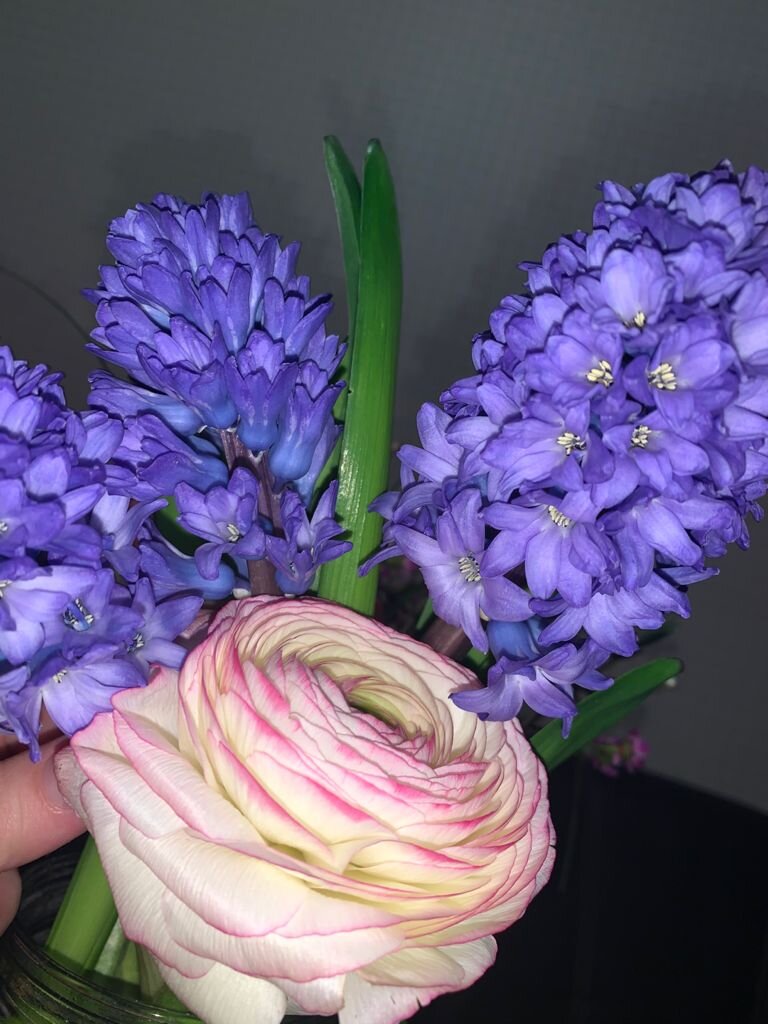 Просто цветы. Фото Е. Островской.